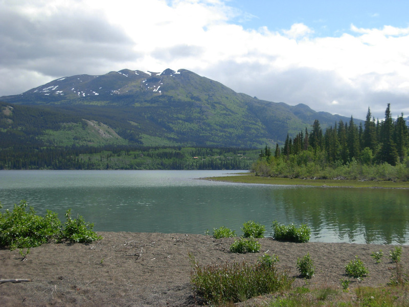 "Elbow Part of Arm," also called Five Mile Bay